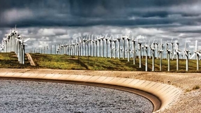 Rows of wind turbines