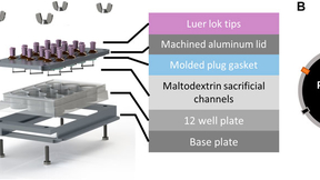 A diagram depicting the multi-well bioreactor platform