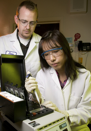 Scientists loading a fluorescently-labeled viral DNA sample