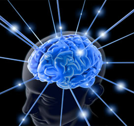 Image of human brain inside of head