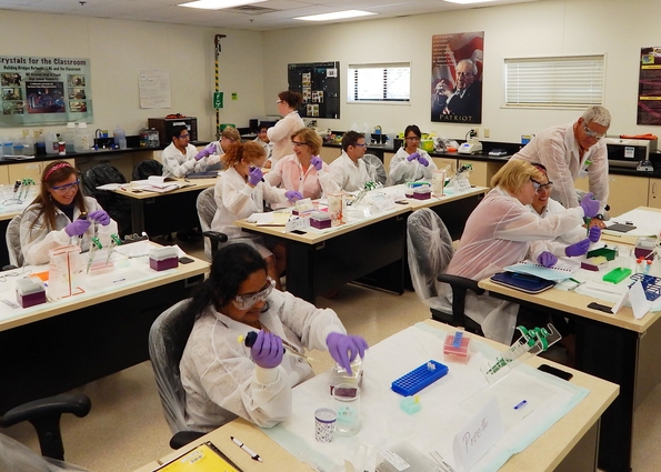 Teachers participate in the Teacher Research Academy's Biotechnology Research Academy