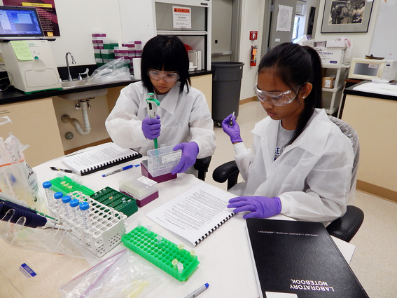 High school students summer workshop purify plasmid DNA